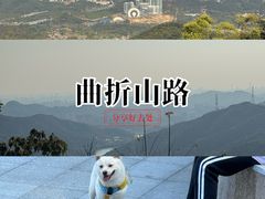 -黄埔油麻山森林公园