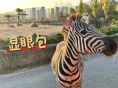 -杭州野生动物世界