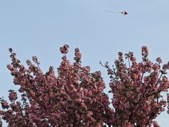 -汉长安城未央宫国家考古遗址公园
