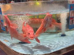 -阿伟海鲜楼·福建菜(延寿店)
