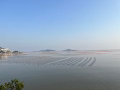 -北岐滩涂