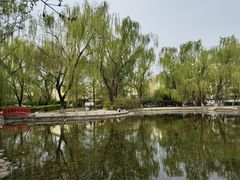 -玲珑塔公园