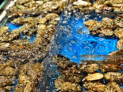 -徐记海鲜(曲江南湖店)