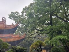 -普陀山风景名胜区-法雨禅寺