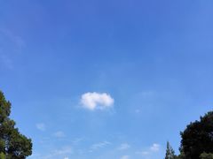 -星星国际影城(激光松山湖店)