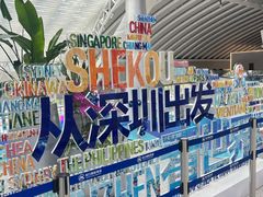 -招商蛇口邮轮母港(观光客运)