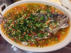 -飞虹鱼馆(春华路店)
