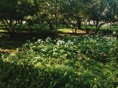 -元大都城垣遗址公园