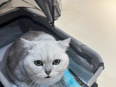 -御宝贝24h宠物医院·转诊中心·CT核磁血透中心(厦门总院)