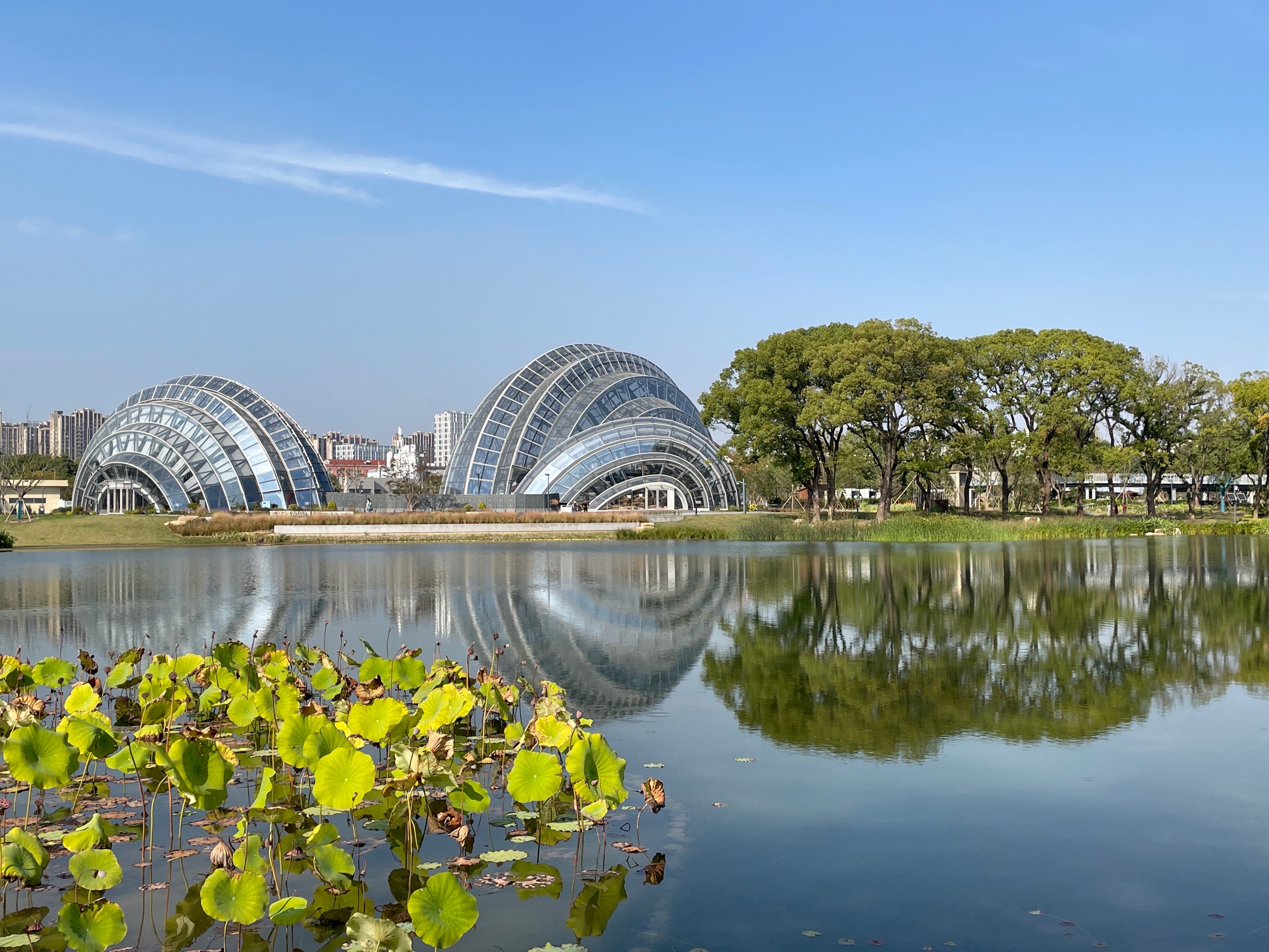 上海植物园北区,又一片世外桃源