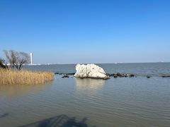 -上海吴淞炮台湾国家湿地公园