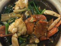 -新陶陶酒家