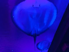 -波塞冬旅游度假区