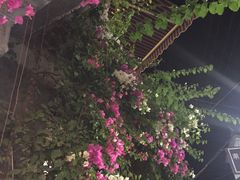 -随善园餐厅(大理店)