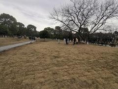 -南京市江宁方山