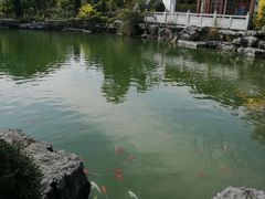 -谷丰健康凤贤居酒家