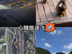 -黔灵山公园