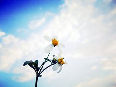 -牛仔谷漂流