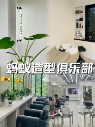 -蚂蚁造型俱乐部