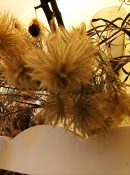 -HeyJewel全球独立设计师原创首饰集合店