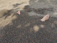 -三江森林温泉度假区