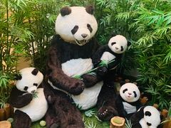 -济州岛泰迪熊博物馆