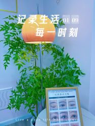 -变美丽半永久纹眉连锁·机器野生眉·洗眉