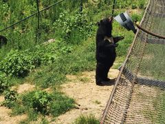 -大连森林动物园