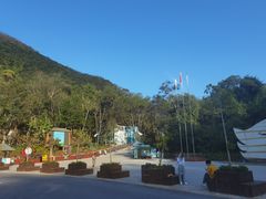 -西双版纳原始森林公园