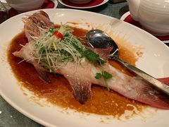 清蒸东星斑-金悦轩海鲜酒家(银河店)