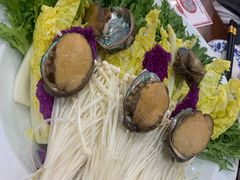 鲍鱼-农轩·醉黄冈