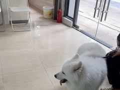 -瑞鹏·疫苗·绝育·宠物医院(金沙洲店)