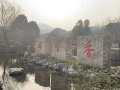 -香雪海