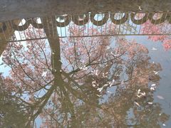 -珠海圆明新园
