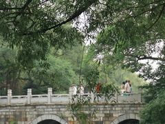 -北陵公园