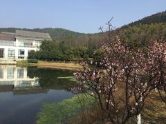 -苏州环秀晓筑养生度假村