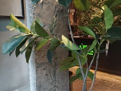 -外婆家(杭州马塍店·杭帮菜名店)