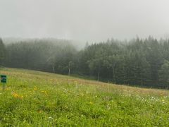 -驼梁风景区