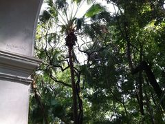 IMG_1292-星巴克臻选(广州沙面店)