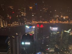 -上海柏悦酒店