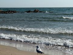 -北戴河东海水浴场