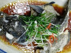 -盒马渔市(平高企业集团·平高广场店)
