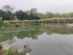 -嘉定紫藤园