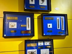 -上海昆虫博物馆