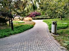 -玲珑塔公园