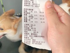 -爱侣宠医·鹦鹉专科·小型哺乳类·异宠专科(灵石路店)