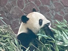 -御轩足道·SPA·养生·保健(瑞金北路店)