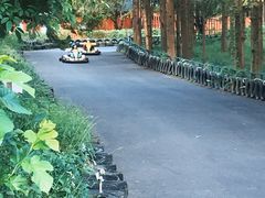-东平国家森林公园
