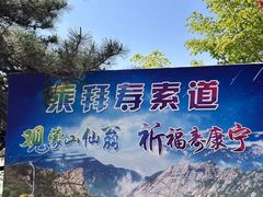 -沂蒙山旅游区龟蒙景区