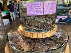 -荔城生鲜盛宴(番禺旗舰店)